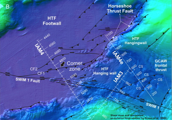 Gulf of Cadiz thrust-wrench tectonic interference