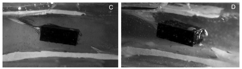 Syn shear rotated rigid inclusions and quarter structures sheath folds