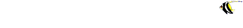 bannerfish.gif (26932 bytes)