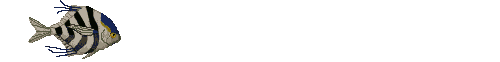 fishdark.gif (35766 bytes)