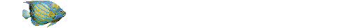 peixe azul.gif (26260 bytes)