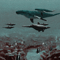 whalesani.gif (68862 bytes)